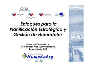 Enfoques para la Planificación Estratégica y Gestión de Humedales Fernando Valenzuela V.