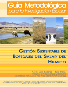Guía Metodológica para la Investigación Escolar: Gestión Sustentable de Bofedales del Salar del Huasco