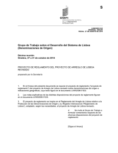 S Grupo de Trabajo sobre el Desarrollo del Sistema de Lisboa