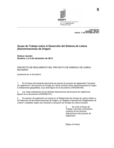 S Grupo de Trabajo sobre el Desarrollo del Sistema de Lisboa