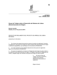 S Grupo de Trabajo sobre el Desarrollo del Sistema de Lisboa