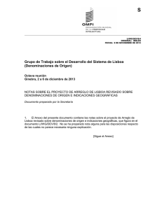 S Grupo de Trabajo sobre el Desarrollo del Sistema de Lisboa