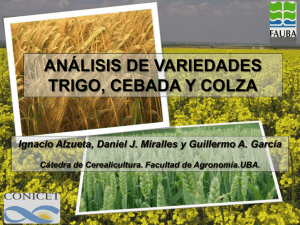 ANÁLISIS DE VARIEDADES  Cátedra de Cerealicultura. Facultad de Agronomía.UBA.