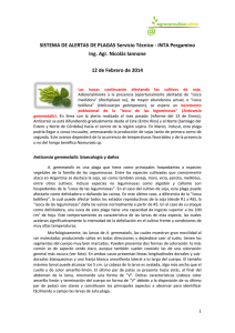 SISTEMA DE ALERTAS DE PLAGAS Servicio Técnico - INTA Pergamino