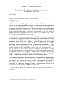 Dicliptera tweediana Tolerancia.pdf
