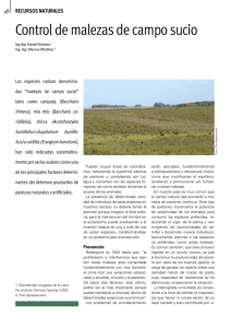 control malezas_IPA(Uruguay).pdf