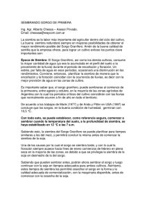 SEMBRANDO SORGO DE PRIMERA.pdf