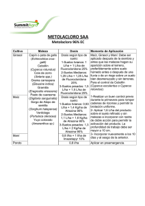 METOLACLORO SAA.pdf