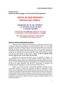 11 de Noviembre de 2011    Nicolás Iannone  Sistema de alerta de plagas – Servicio técnico INTA Pergamino 