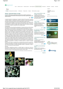 Carmona_Ahora mancha foliar en soja 21-1-11.pdf