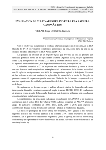 Evaluacion de cultivares de lino 2010 EEA Rafaela.pdf