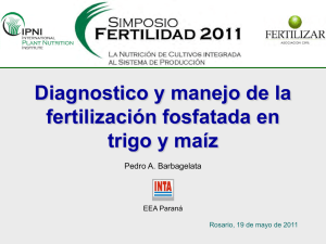 Diagnostico y manejo de la fertilización fosfatada en trigo y maíz