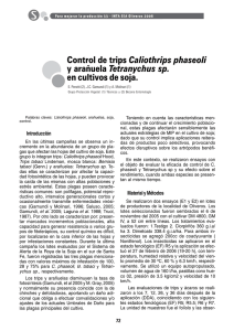 Control de trips Caliothrips phaseoli y arañuela Tetranychus sp. e