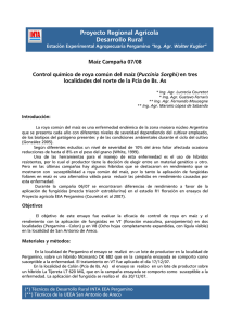 Proyecto Regional Agrícola Desarrollo Rural  Maíz Campaña 07/08