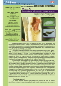 Barrenador del tallo de maíz (Lepidoptera: Crambidae) Manejo del Diatraea saccharalis
