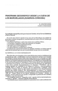 braco121_1991_2.pdf