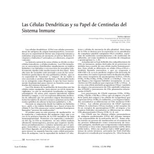 Celulas Dendriticas Centinelas Sistema Inmune