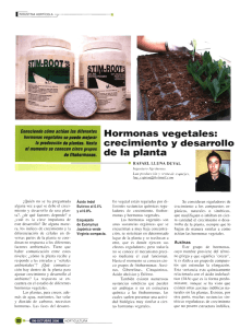 Hormonas vegetales: crecimiento y desarrollo de las plantas.