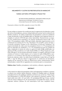 Aislamiento y cultivo de protoplastos en Maracuya.