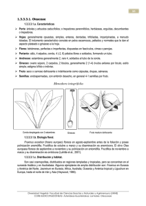 2 Oleaceae