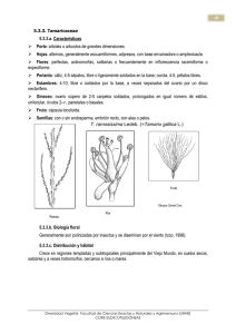Tamaricaceae
