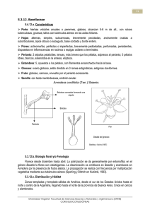 Basellaceae