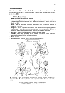3 Alstroemeriaceae