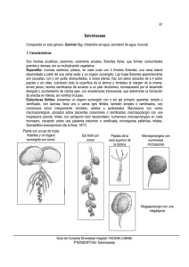 2- Salviniaceae