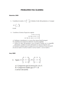 Problemes_PAU_Algebra.pdf