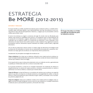 Estrategia Memoria Anual 2013