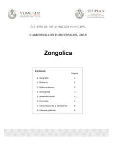 Zongolica SISTEMA DE INFORMACIÓN MUNICIPAL CUADERNILLOS MUNICIPALES, 2015