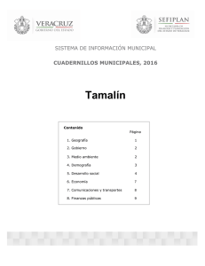 Tamalín SISTEMA DE INFORMACIÓN MUNICIPAL CUADERNILLOS MUNICIPALES, 2016