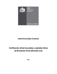 Certificación oficial de predios o planteles libres de brucelosis ovina ( Brucella ovis )