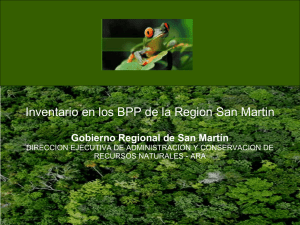 Gobierno Regional de San Martín RECURSOS NATURALES - ARA
