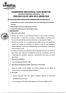 GOBIERNO  REGIONAL SAN MARTIN PROCESO  CAS Nº. 004-2015-GRSM/OGP
