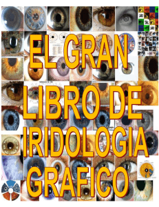 El gran libro de la iridología