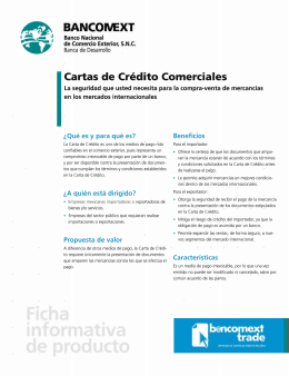 FORMATO DE CARTA DE CREDITO