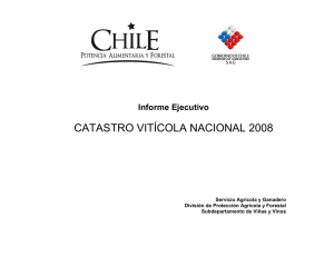 Informe ejecutivo Catastro Vitícola Nacional 2008