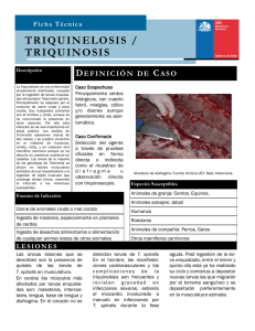 Triquinelosis/Triquinosis
