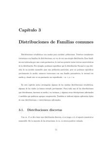 CapIII.pdf