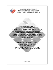 informe de 2002 elaborado por la Dirección de Presupuesto del Ministerio de Hacienda
