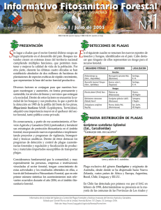 Informativo fitosanitario forestal N°1