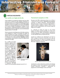Informativo fitosanitario forestal N°4