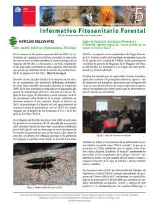 Informativo fitosanitario forestal N°5