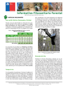 Informativo fitosanitario forestal N°7