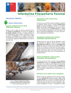 Informativo fitosanitario forestal N°9
