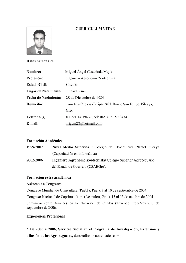 Curriculum vitae peruano 06 picture