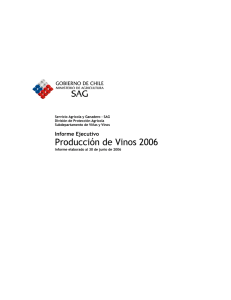 Informe ejecutivo producción de vinos 2006