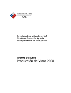 Informe ejecutivo producción de vinos 2008