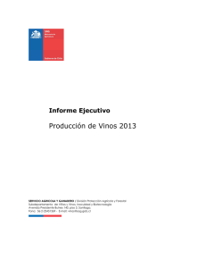 Informe ejecutivo producción de vinos 2013